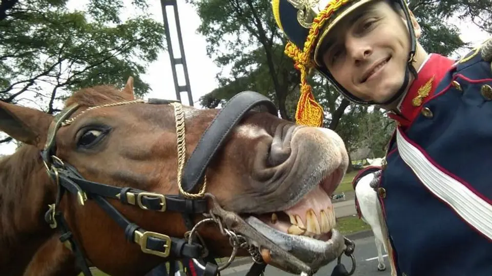 Caballo sonríe mientras soldado toma una selfie