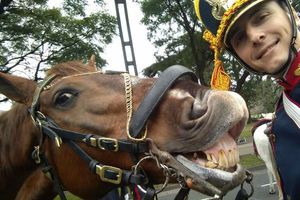 Caballo sonríe mientras soldado toma una selfie