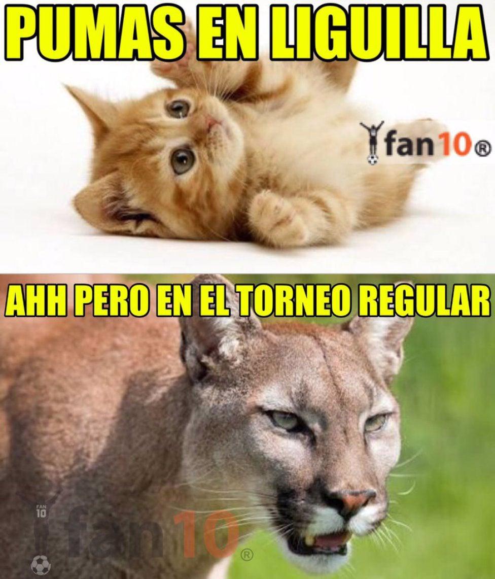 ESPECIAL