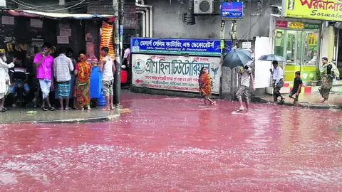 Lluvia crea 'río de sangre' en la India