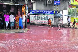 Lluvia crea 'río de sangre' en la India
