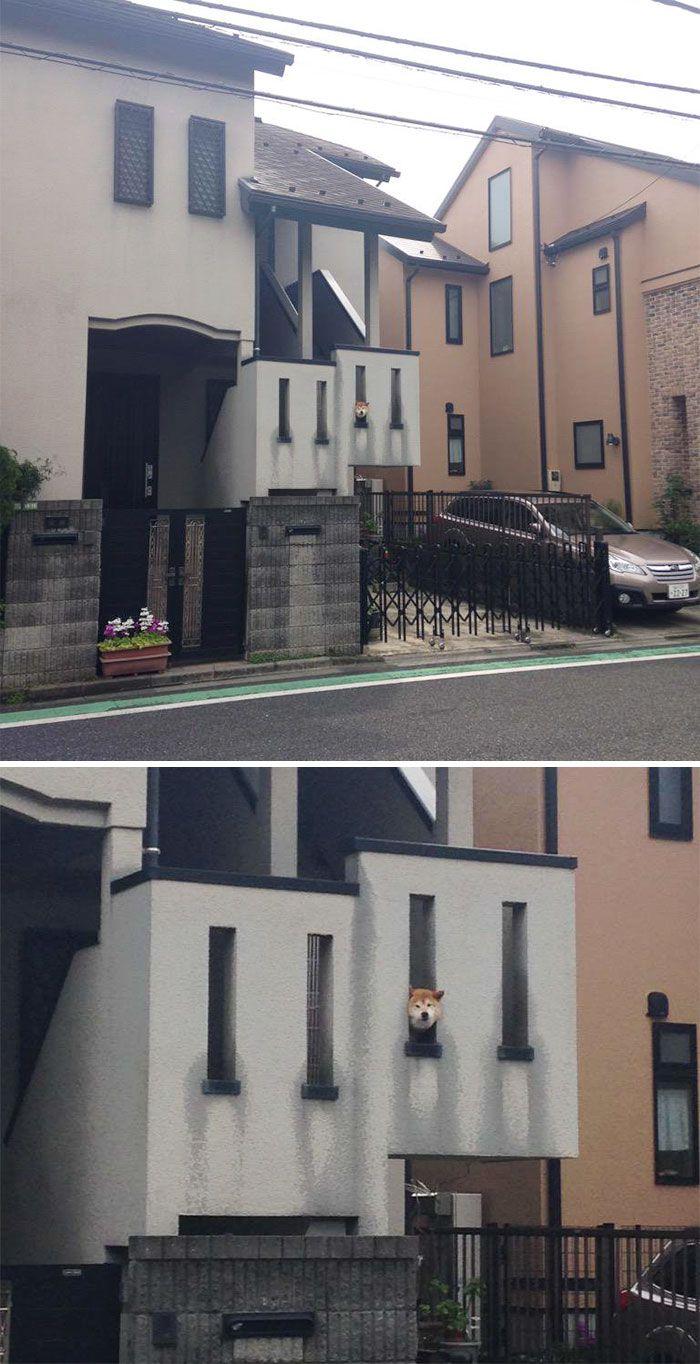 Bored Panda