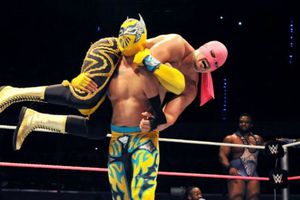 Lucha Dragons deja escapar el campeonato en el Distrito Federal