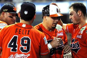 Con implacable zarpazo, Tigres conquista su título 12 de LMB