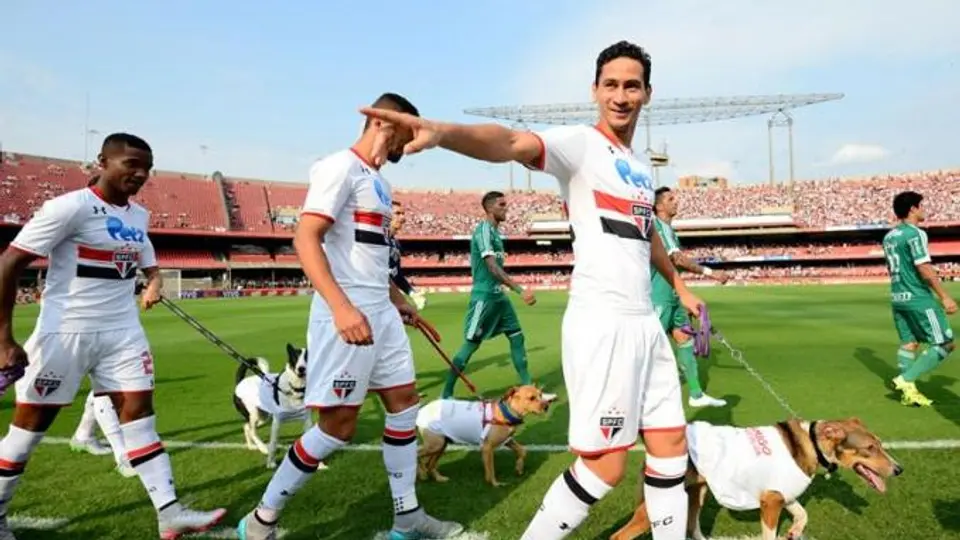 Sao Paulo se une a campaña de adopción canina