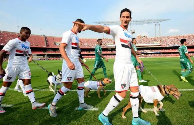 Sao Paulo se une a campaña de adopción canina