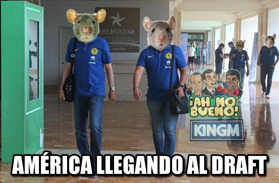 ESPECIAL