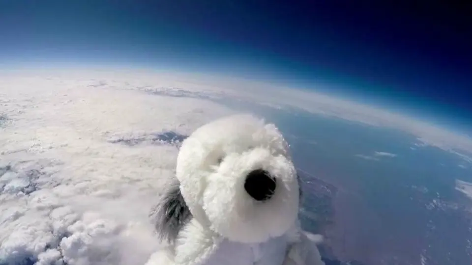 Perro de peluche llega a la estratosfera