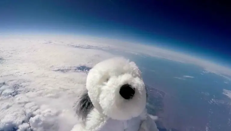 Perro de peluche llega a la estratosfera