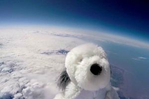 Perro de peluche llega a la estratosfera