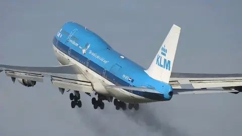 Flatulencias de ovejas obligan a detener un vuelo