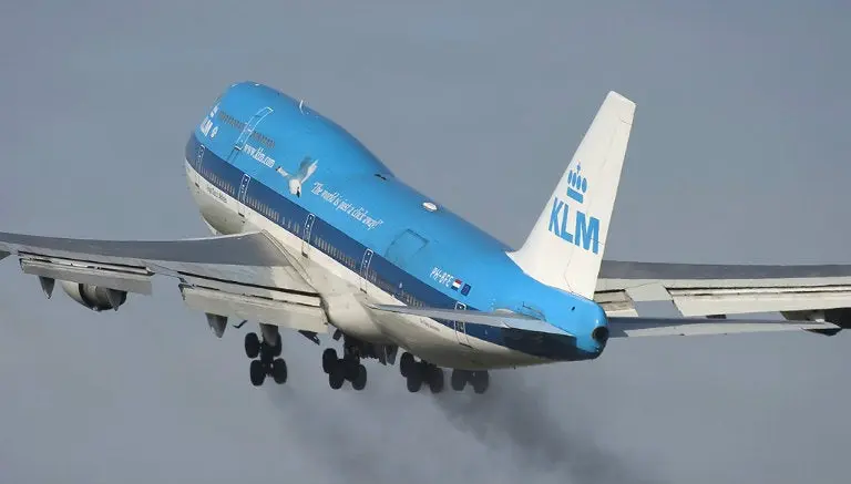Flatulencias de ovejas obligan a detener un vuelo