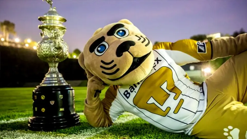 Pumas responde a trolleo de Chivas en redes