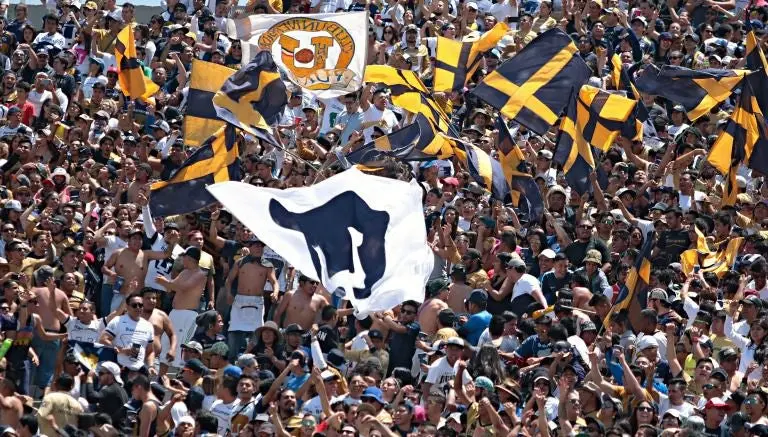Seguidor de Pumas se humilla al pagar una apuesta