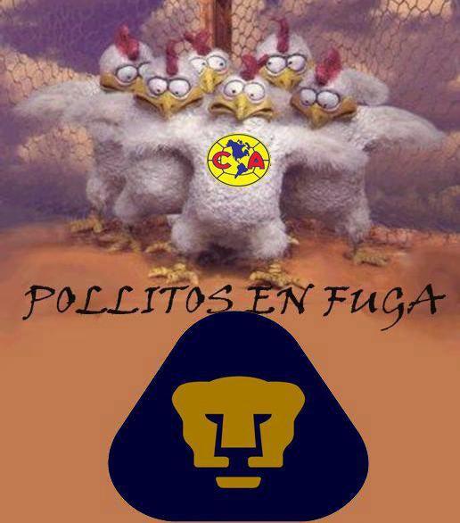 ESPECIAL