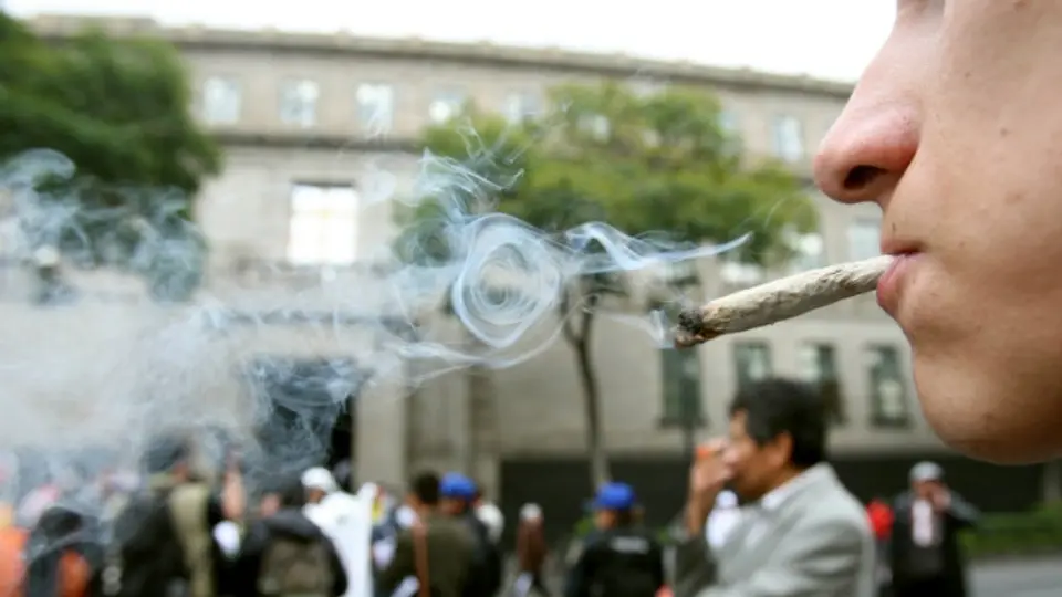 Aprueban uso lúdico de la marihuana... para cuatro personas