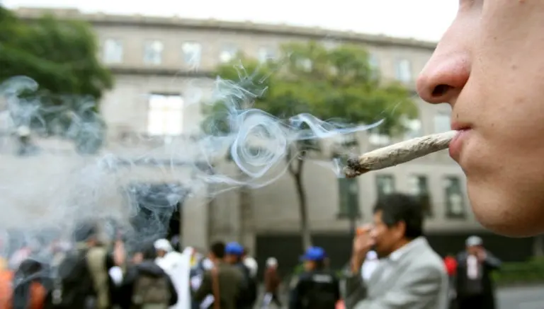 Aprueban uso lúdico de la marihuana... para cuatro personas