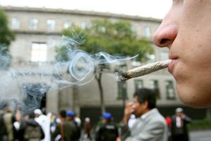 Aprueban uso lúdico de la marihuana... para cuatro personas