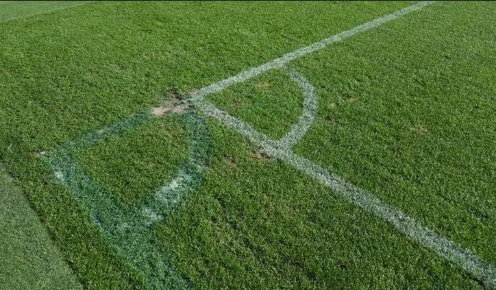 ¿Malmo achicó su cancha para enfrentar al Real Madrid?