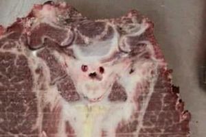 Imagen satánica aparece en bistec y causa revuelo en redes