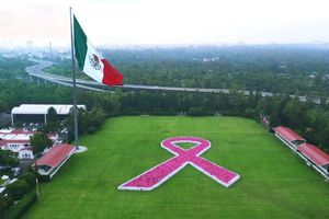 México forma el lazo rosa más grande de la historia