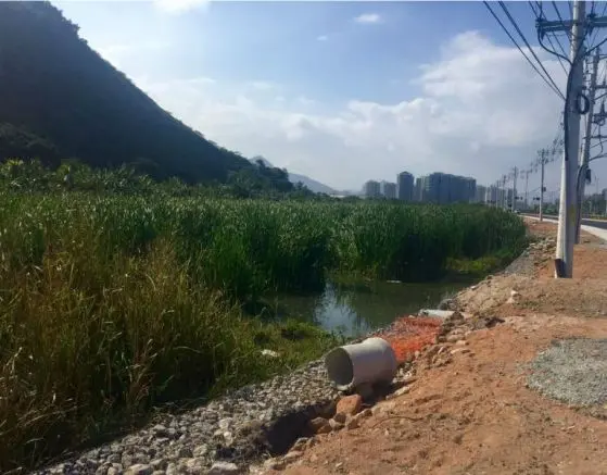 Malas condiciones predominan en la Villa Olímpica