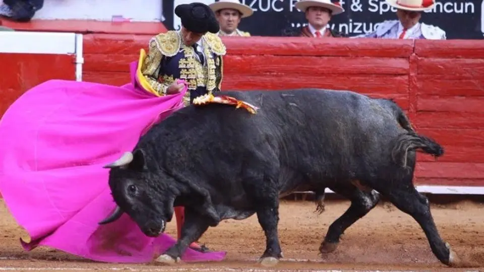 Joselito se lleva la fiesta de José Tomás