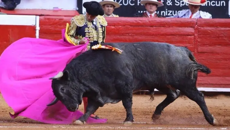 Joselito se lleva la fiesta de José Tomás