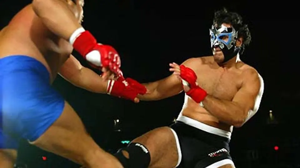 Conoce a los luchadores que tuvieron carreras en MMA