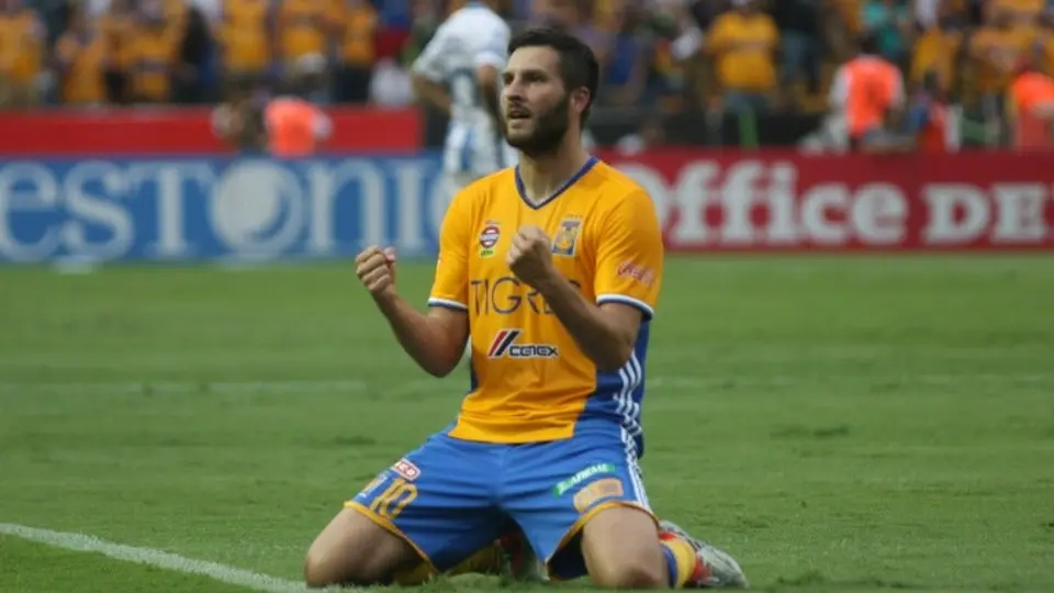 Niño francés alienta a Tigres en el baño, inspirado en Gignac