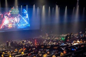 Matan a golpes a fan que 'spoileó' Star Wars VII