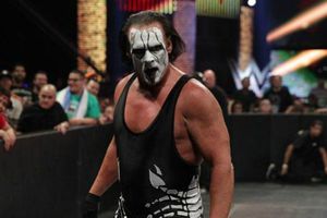 'Combate contra Undertaker, la mejor forma de retirarme': Sting
