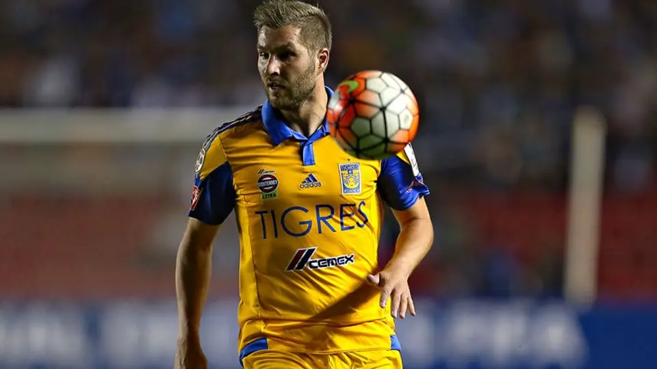 'Si viene un superclub por Gignac, se consideraría': Inge Rodríguez