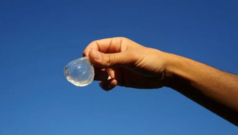 Crean la que podría ser la botella de agua del futuro