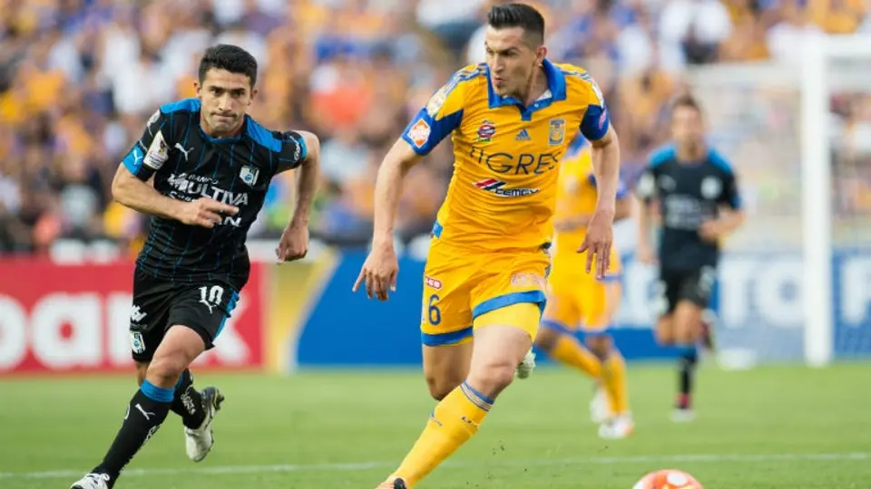 Torres Nilo, el 'Tucafan' que sueña con dirigir al Tri