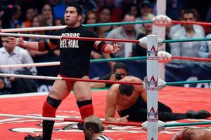 Elige el mejor momento en la carrera del Hijo del Perro Aguayo