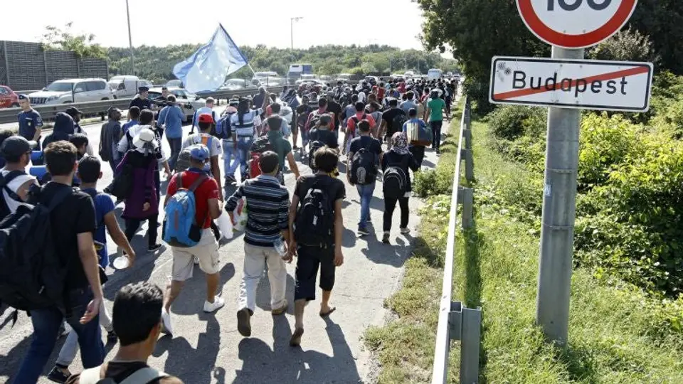 COI crea fondo de 2 mdd para ayudar a refugiados