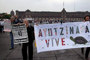 CIDH asegura que normalistas no fueron incinerados en Cocula