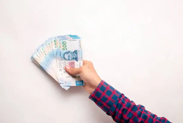 El pago del aguinaldo dependerá del salario y la categoría laboral de cada trabajador del Gobierno federal./ Pixabay