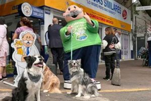 ¿Buscas estética para tu mascota? Dr. Simi anuncia nuevos servicios en México