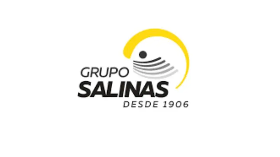 Grupo Salinas informó que pagó 32 mil millones de pesos en parcialidades para saldar sus obligaciones fiscales. / Grupo Salinas