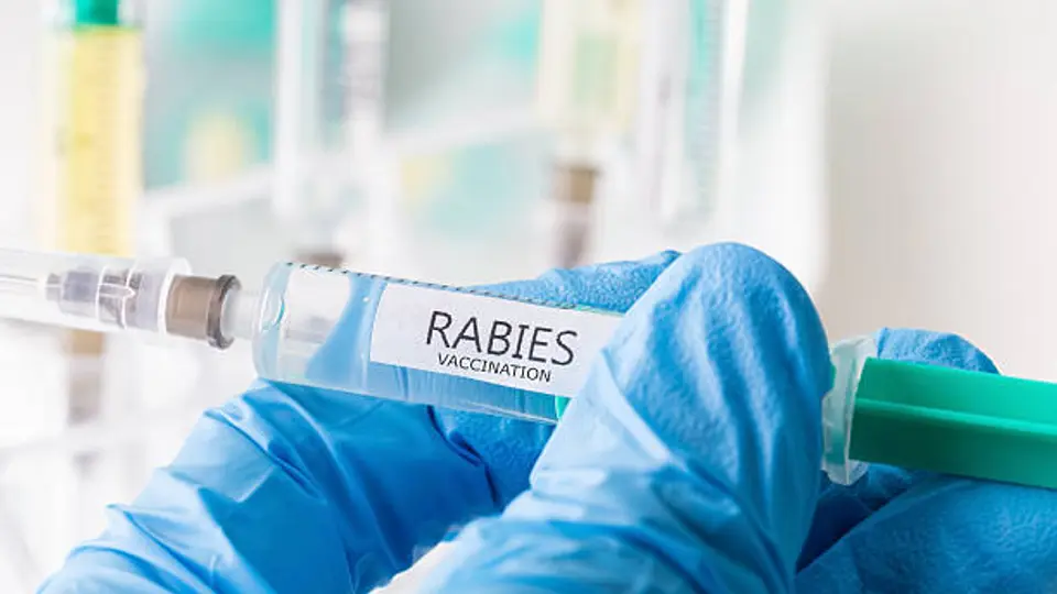 La rabia humana es una enfermedad viral que afecta el sistema nervioso central si no se atiende a tiempo. / iStock