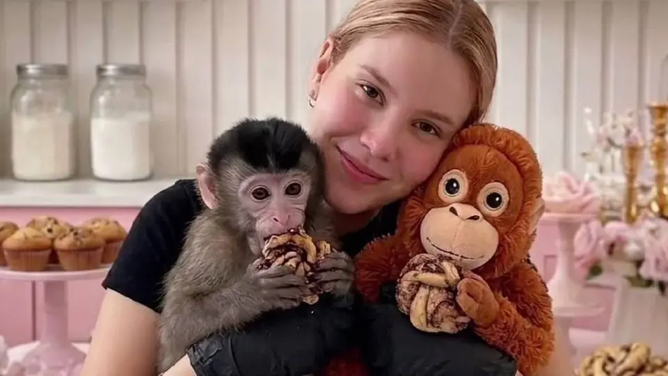 La influencer Carmiña Miroslava fue reporpatada como desaparecida desde el domingo por la tarde/IG: @rosadelyy_
