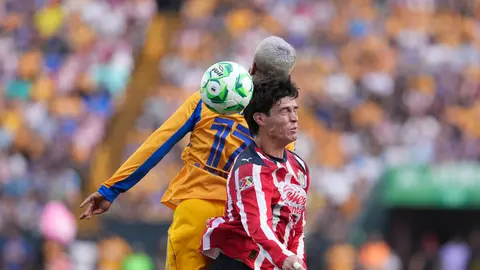 Tigres vs Chivas | IMAGO7