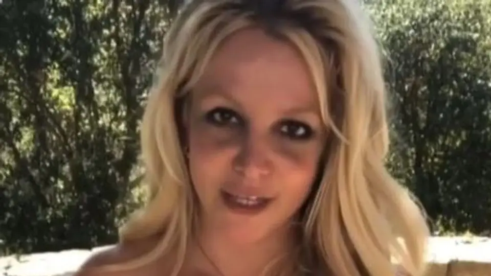 Luego de aprehensión, Britney se tuvo que internar para curarse de sus adicciones / Redes Sociales