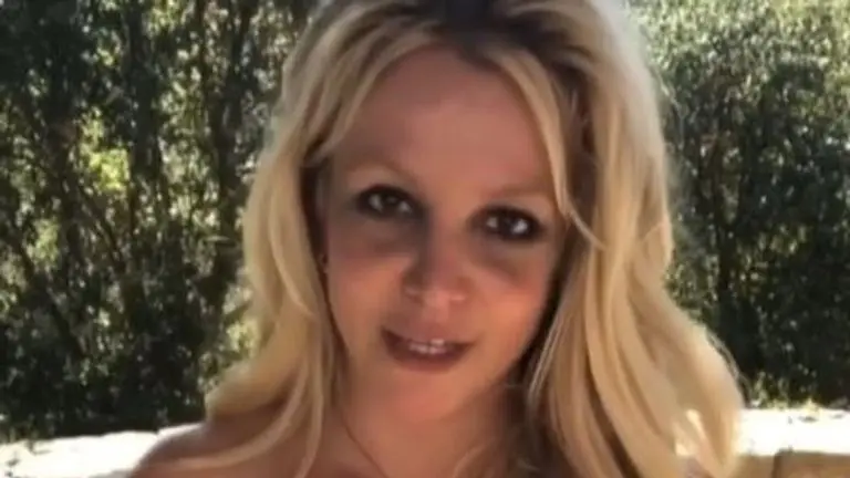 Luego de aprehensión, Britney se tuvo que internar para curarse de sus adicciones / Redes Sociales