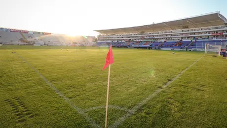 ¡Inesperado! Almada, nuevo director técnico del Irapuato