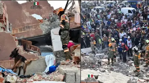 La labor de los binomios ayudó a encontrar a varias personas con vida / Especial