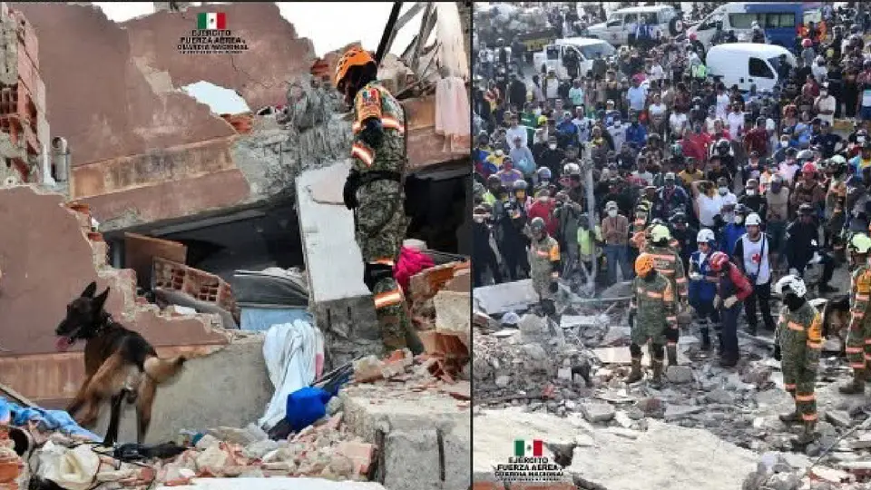 La labor de los binomios ayudó a encontrar a varias personas con vida / Especial