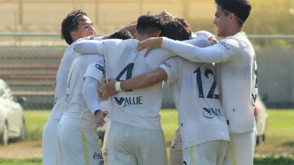 Tritones de Puerto Vallarta: el ambicioso proyecto de un nuevo estadio en Jalisco